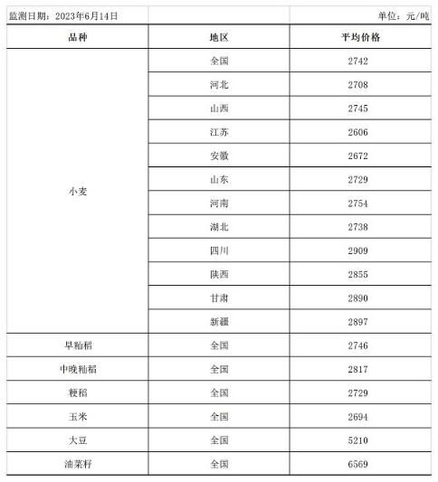 糧食市場迎來新發(fā)展趨勢，中方呼吁完善全球糧農(nóng)治理體系